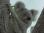 vlcsnap-2012-11-19-20h23m23s109